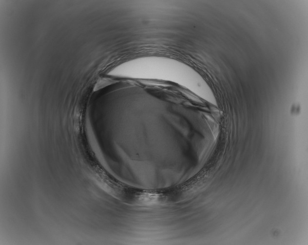 X0000096180227200802151448