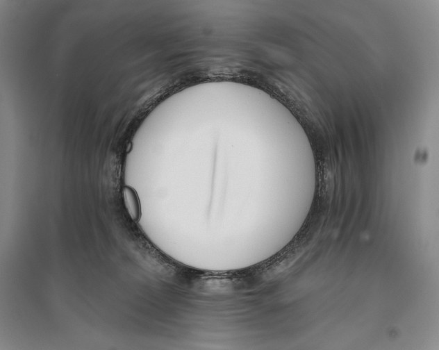 X0000096180228200802151448