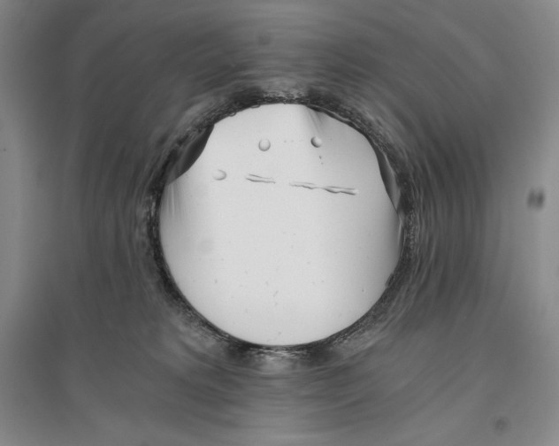 X0000096180229200802151448