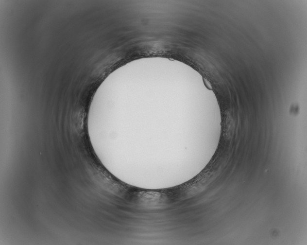 X0000096180230200802151448