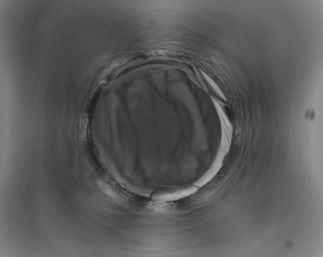 X0000096180231200802151448
