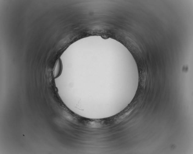 X0000096180232200802151448