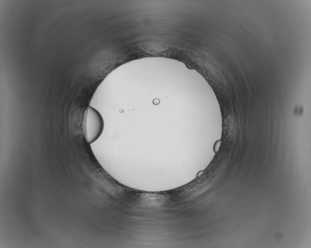 X0000096180234200802151448