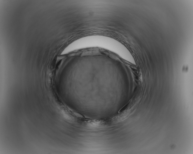 X0000096180235200802151448