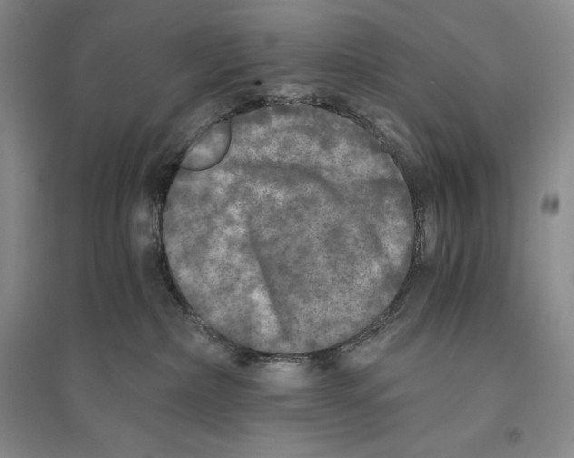 X0000096180236200802151448