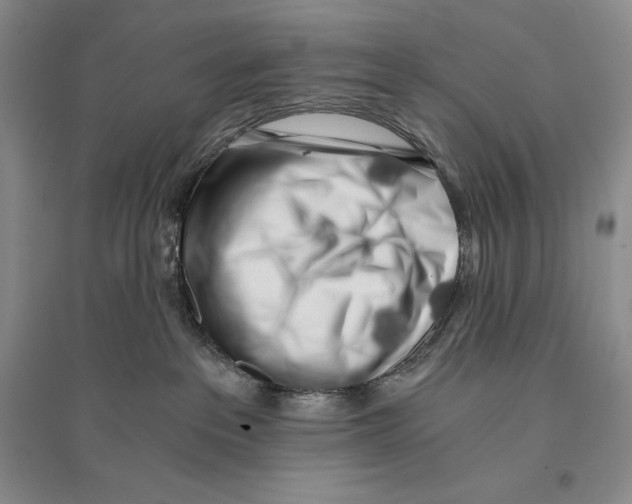X0000096180237200802151448