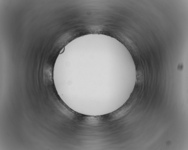 X0000096180238200802151448