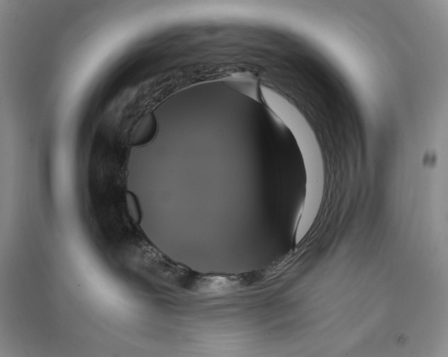 X0000096180239200802151448