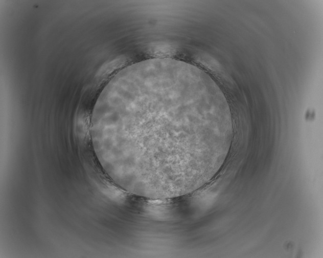 X0000096180240200802151448