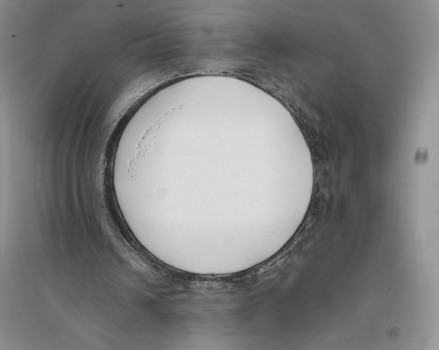 X0000096180242200802151447
