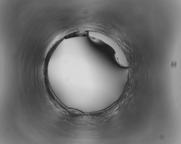 X0000096180244200802151447