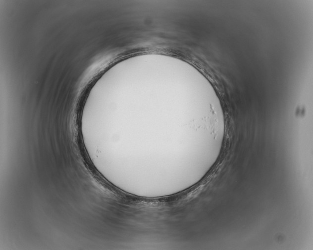 X0000096180245200802151448