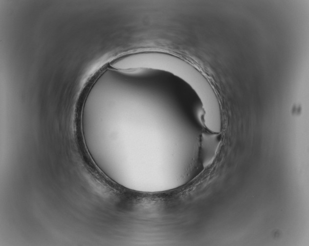 X0000096180248200802151448