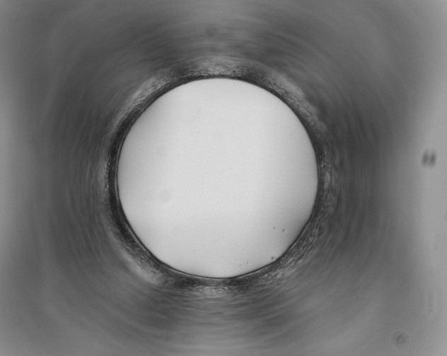 X0000096180250200802151448