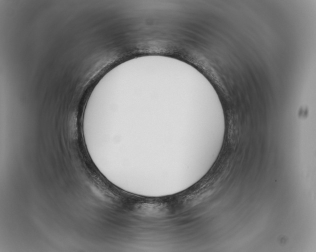 X0000096180251200802151448
