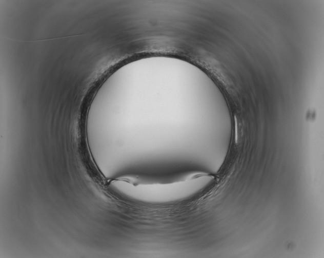 X0000096180252200802151448