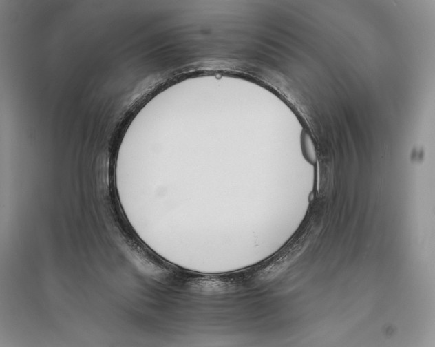 X0000096180253200802151448