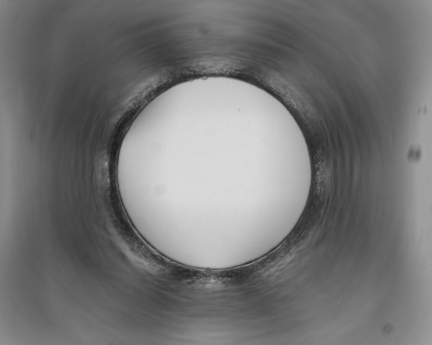 X0000096180254200802151448