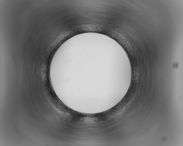 X0000096180255200802151448