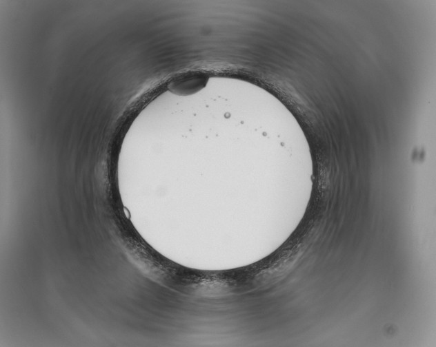 X0000096180256200802151448
