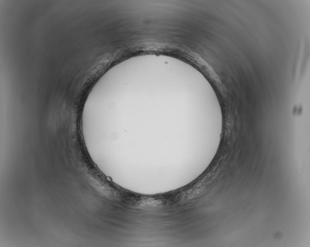 X0000096180257200802151448