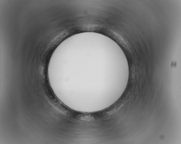 X0000096180258200802151448