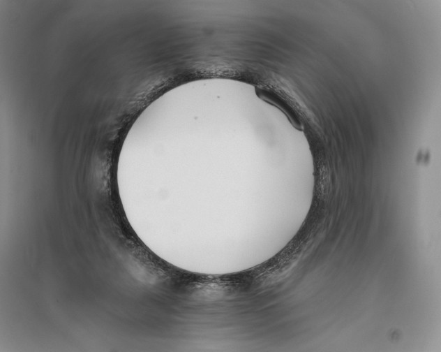 X0000096180259200802151448