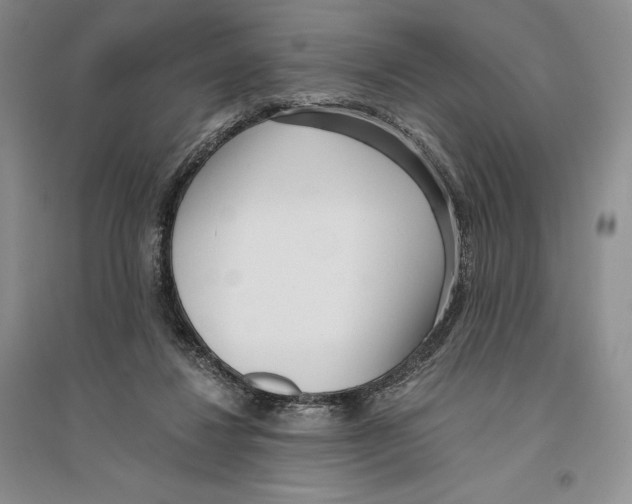 X0000096180260200802151448