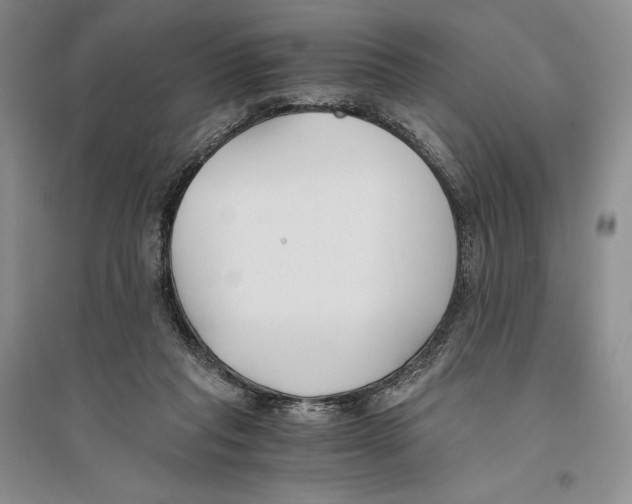 X0000096180261200802151448