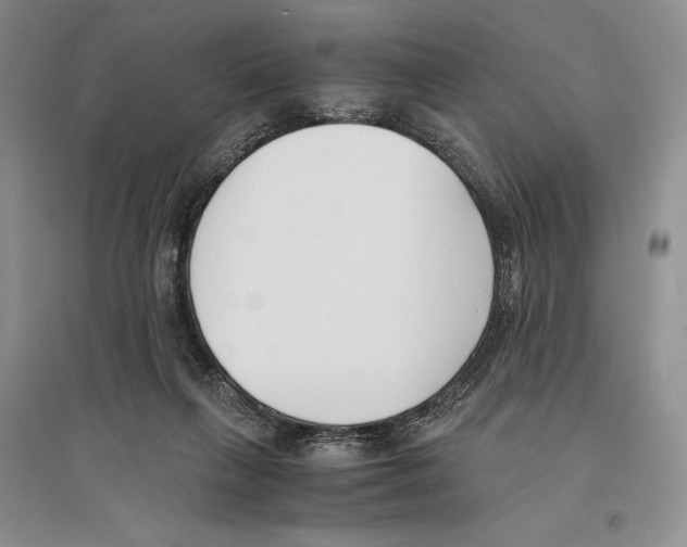 X0000096180263200802151448