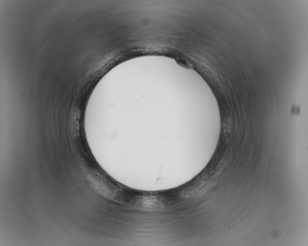 X0000096180264200802151448