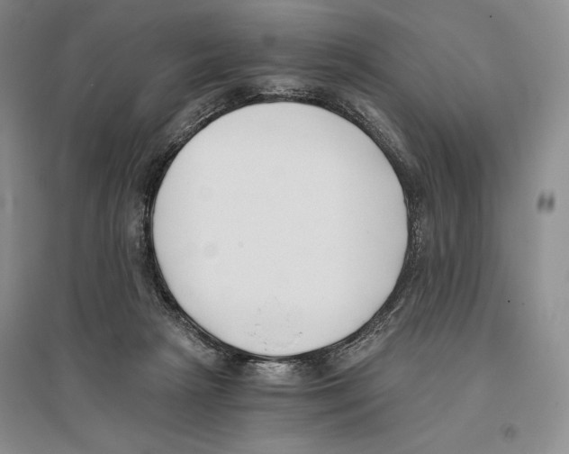 X0000096180265200802151448