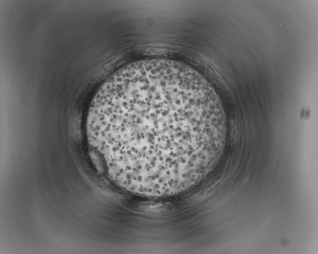 X0000096180267200802151448
