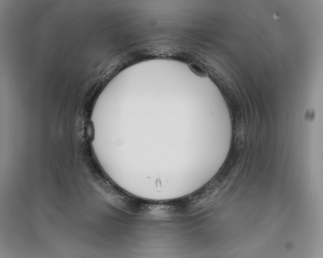 X0000096180268200802151448