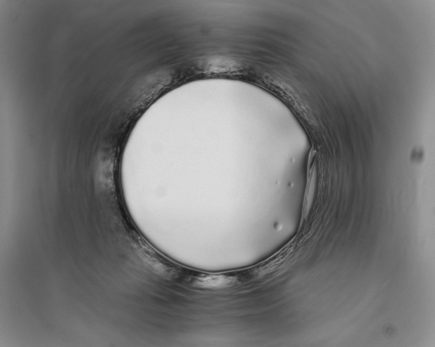 X0000096180269200802151448