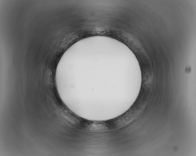 X0000096180270200802151448