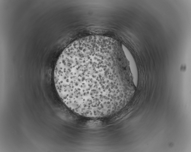 X0000096180271200802151448