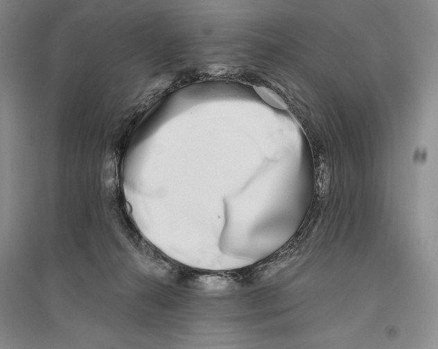 X0000096180272200802151448