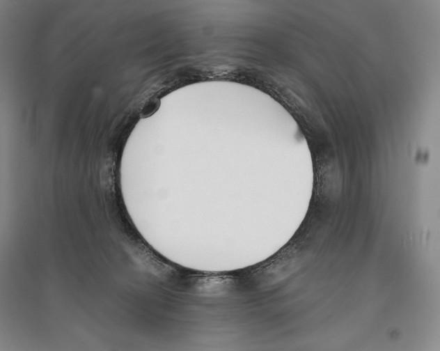 X0000096180274200802151448