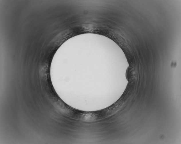 X0000096180275200802151448