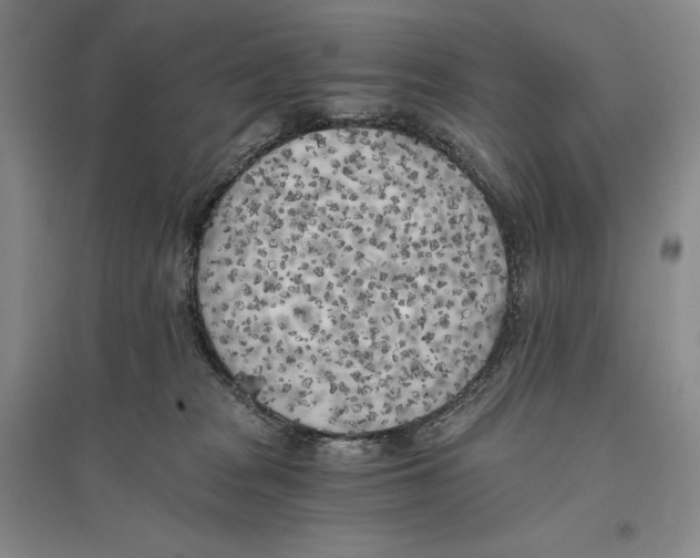 X0000096180277200802151448