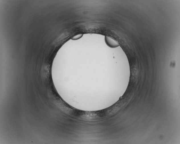 X0000096180278200802151448