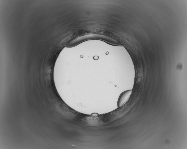 X0000096180279200802151448