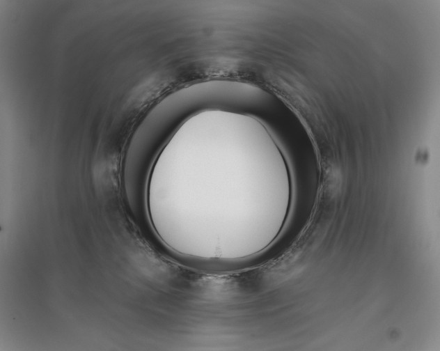 X0000096180280200802151448