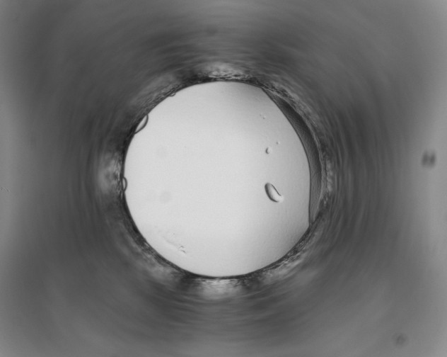 X0000096180281200802151448