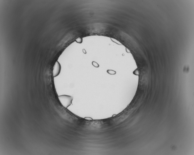 X0000096180282200802151448