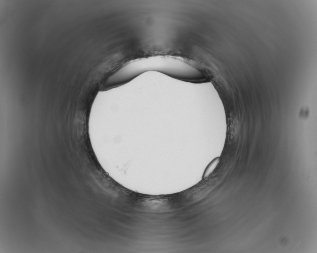 X0000096180283200802151448