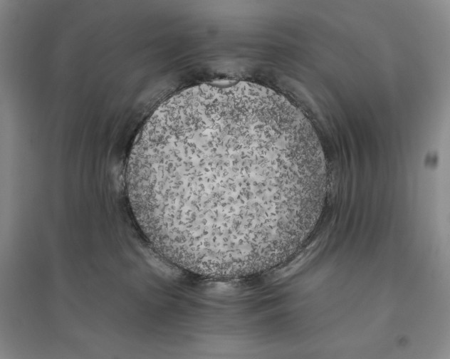 X0000096180285200802151448