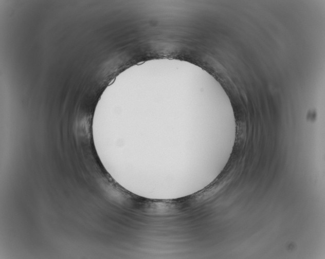 X0000096180286200802151448