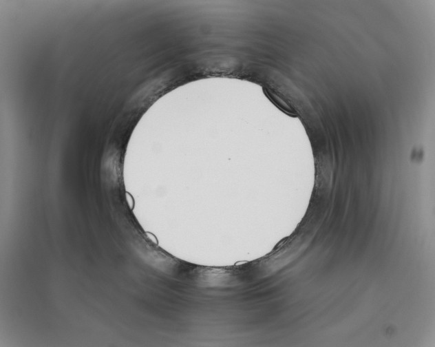 X0000096180287200802151448